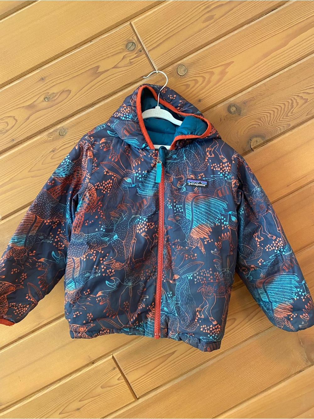 Patagonia Reversible Jacket